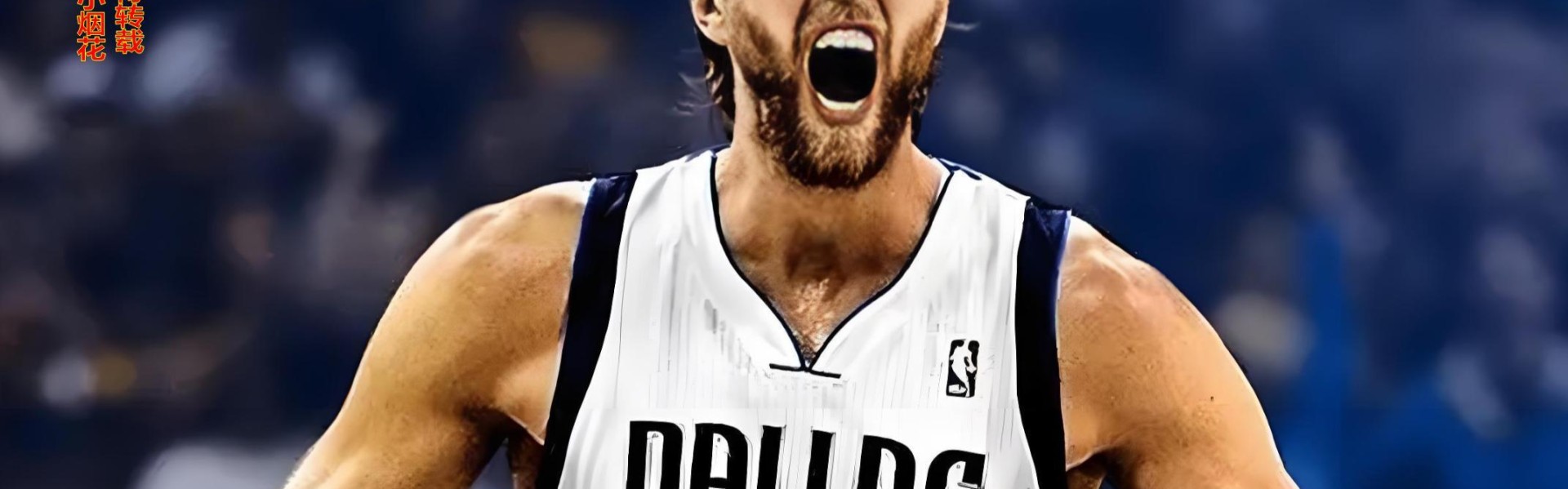 Kaiyun-为何生涯仅1冠1MVP的诺维斯基能够得到世人如此巨大的尊重？