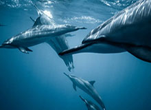 必一运动：从日常出发的健康革命